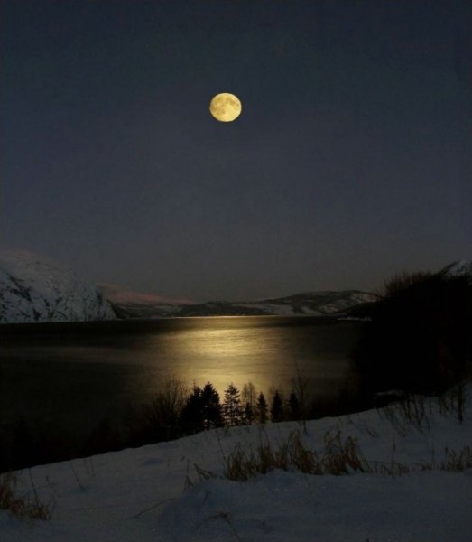 Лунный вечер