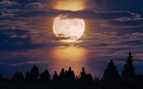 Ночное небо с луной