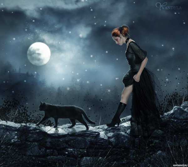 Ведьма с котом