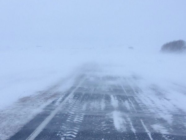 Снежный Буран