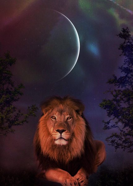 Луна во Льве