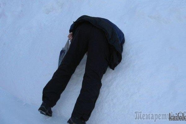 Головой в сугроб