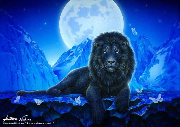 Первозданной природы. Кентаро Нишино (Kentaro Nishino).