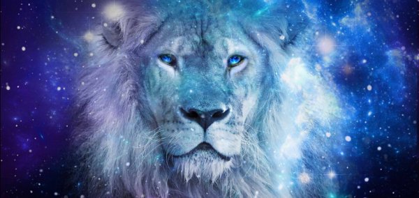 Лев с синими глазами