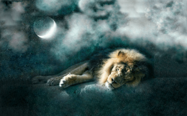 Луна во Льве