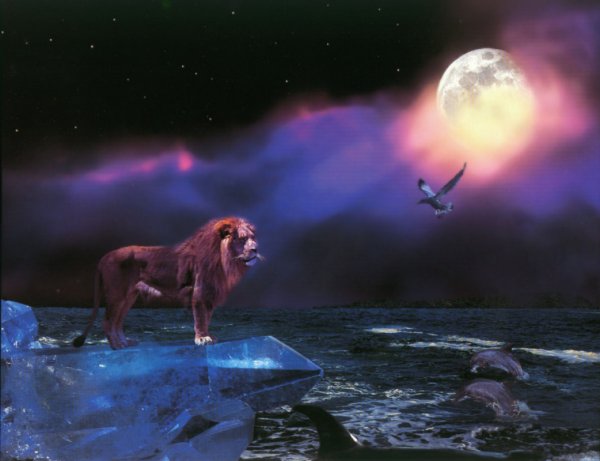 Полнолуние во Льве