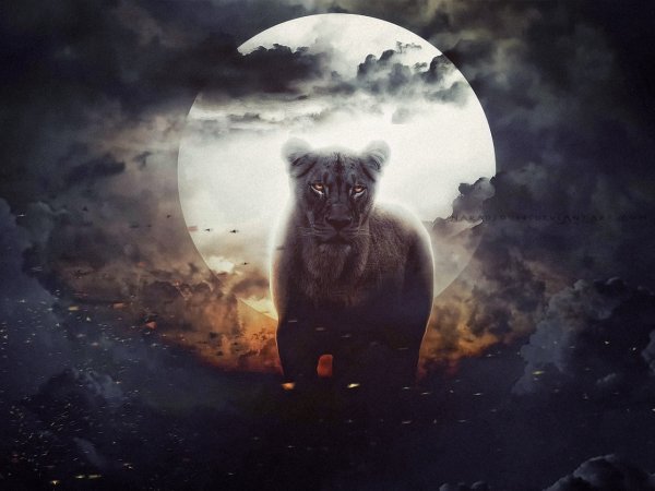 Львица фэнтези