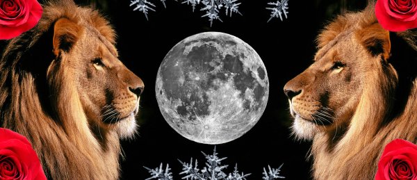 Луна во Льве