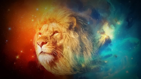 Обои на рабочий стол Лев