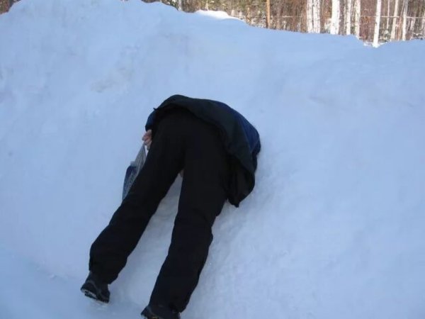 Головой в сугроб
