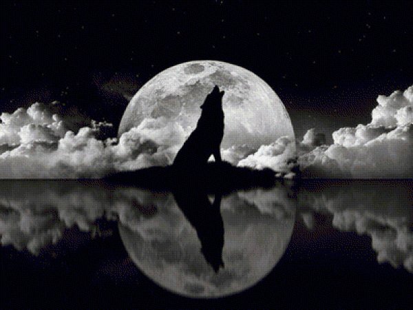 Черная Луна