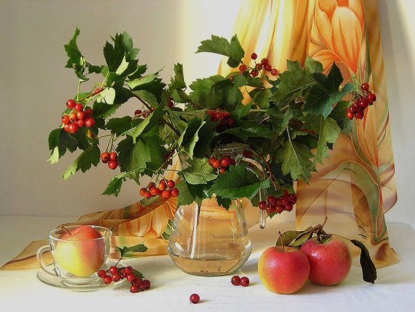 Доброго осеннего утра и хорошего дня