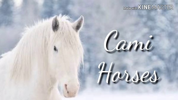 Лошади в снегу