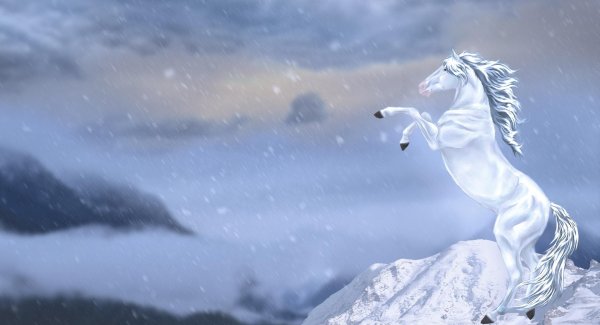 Лошади в снегу