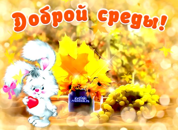 Доброе утро среда осень