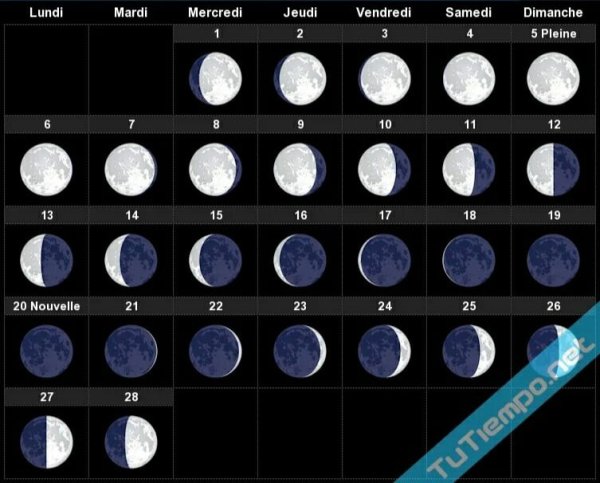 Лунный календарь 2004