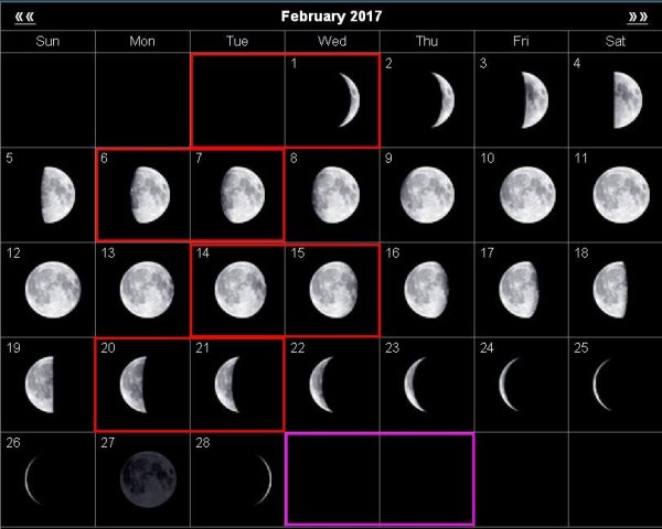 Фаза Луны 27.02.2004