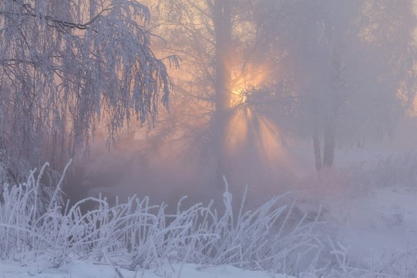 Холодное морозное утро