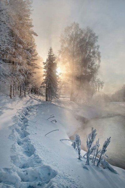 Морозное утро