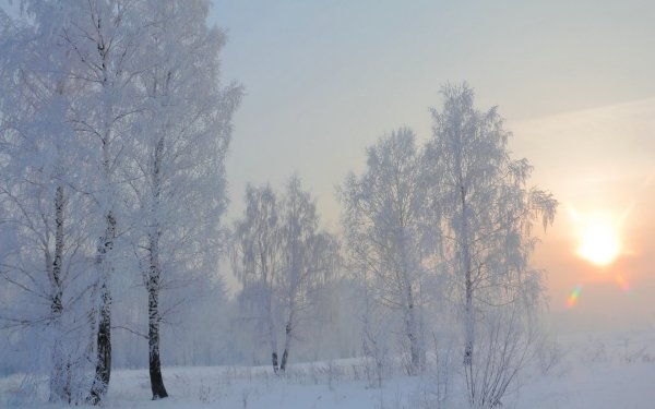 Зимнее утро