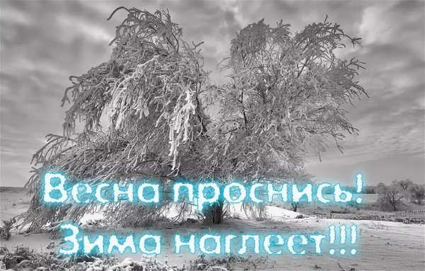 Доброе морозное утро весны
