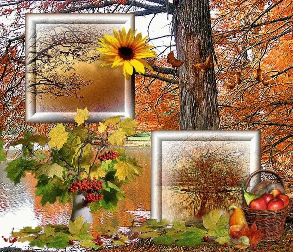 Открытки осень