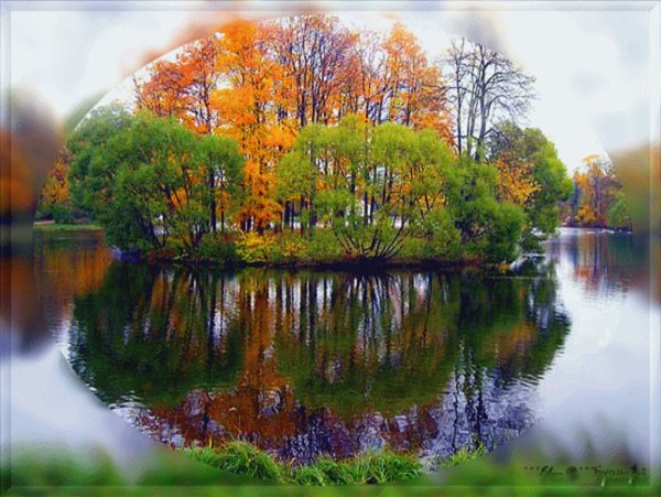 Анимация осень Золотая