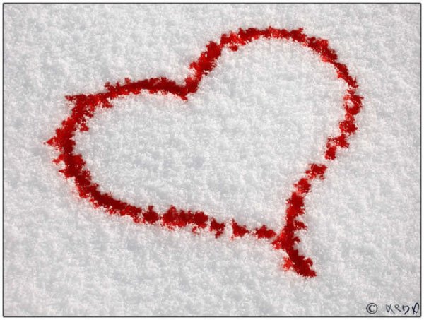Сердце нарисованное кровью
