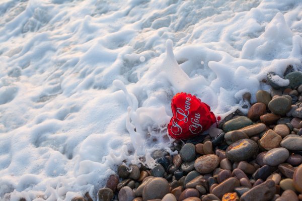 Сердце в море Сочи