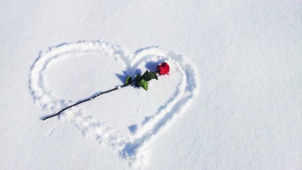 Сердце из роз на снегу