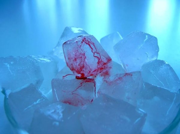 Ледяные осколки