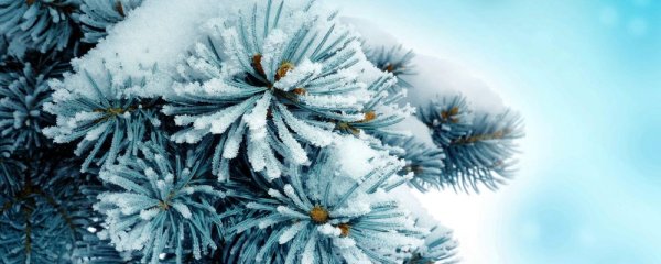 Зимние заставки на телефон