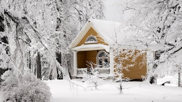 Винтер Хэвен Кэбин