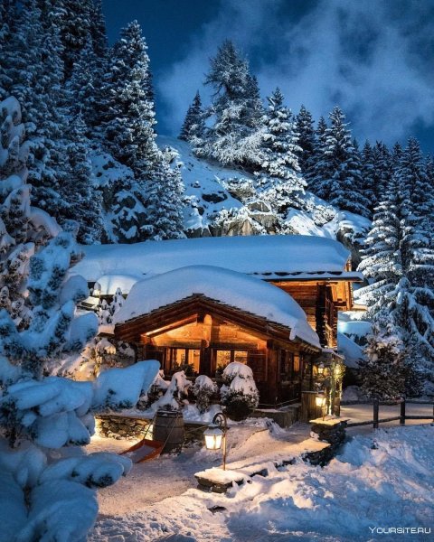 Дома в лесу зимой (141 фото)