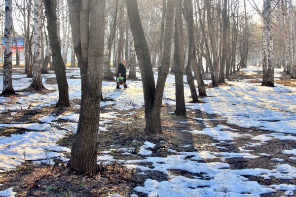 Весна тает снег парк