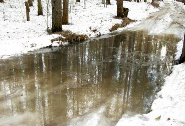 Лужи зимой