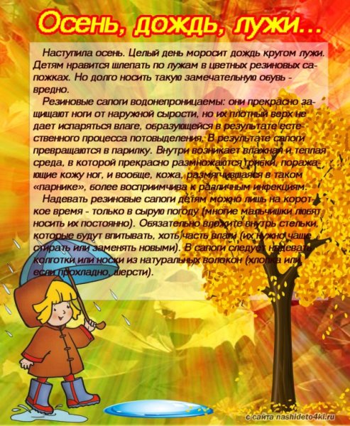 Осень информация для детей