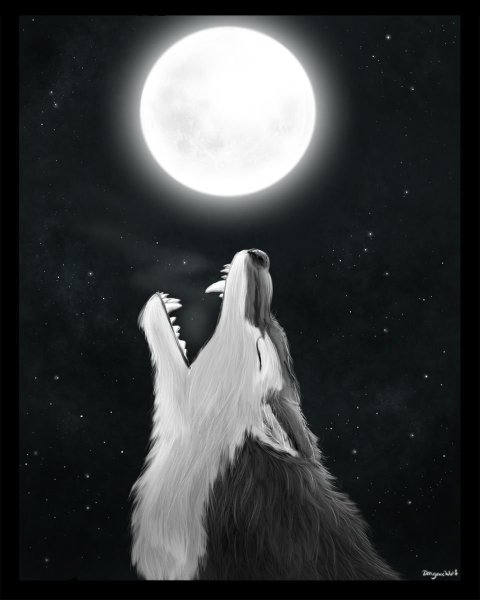 Воющий волк