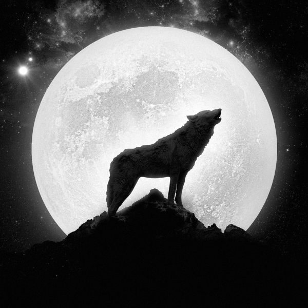 Howling Wolf музыкант