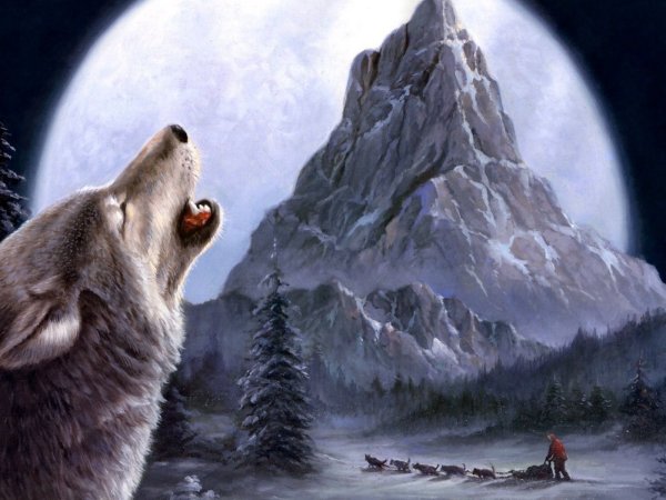 Воющий волк