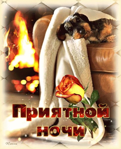 Спокойной уютной ночи