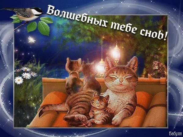 Уютного вечера и сладких снов