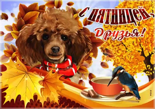 Доброе осеннее утро пятницы