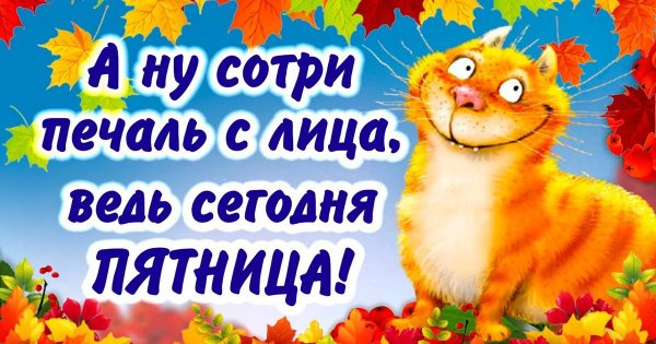 С добрым осенним утром пятницы