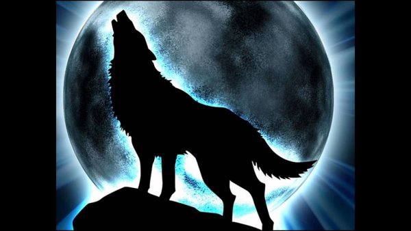 Огненный волк на фоне Луны