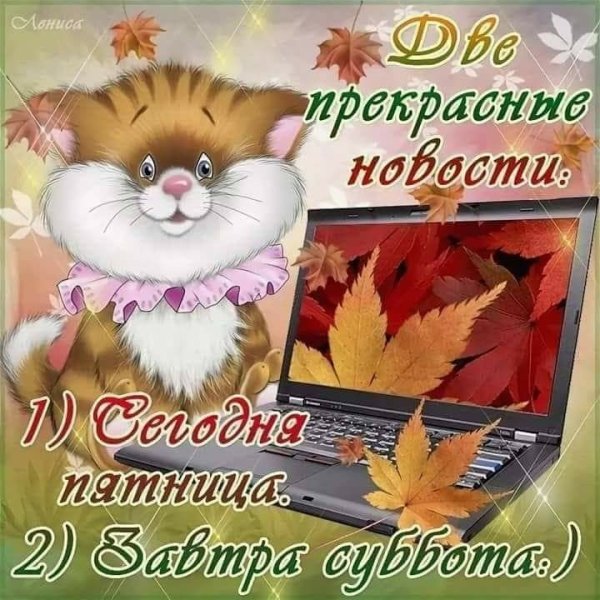 Открытки с добрым утром пятницы