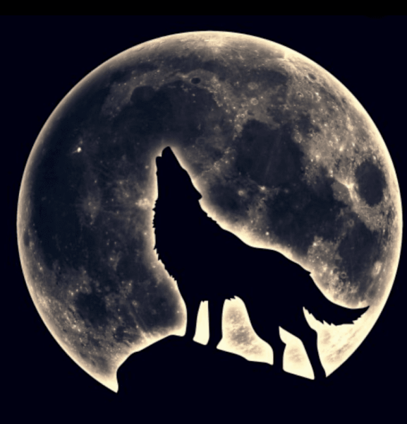 Волк и Луна