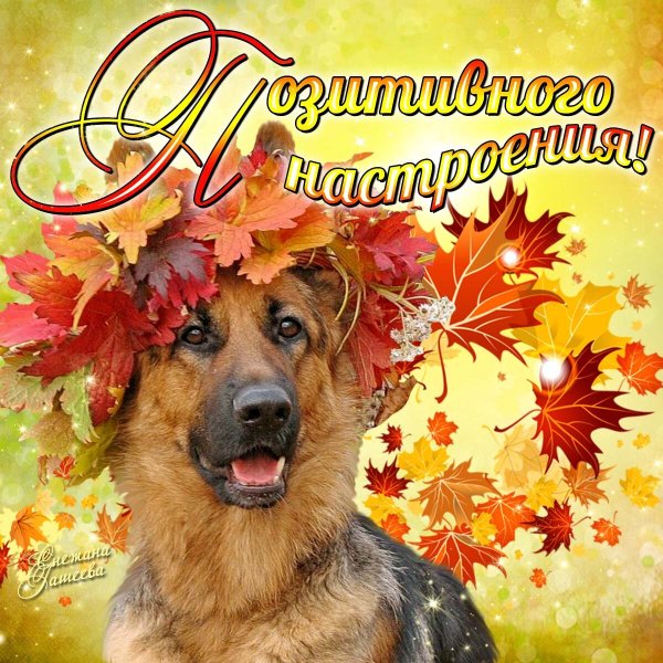 Открытки осеннего настроения