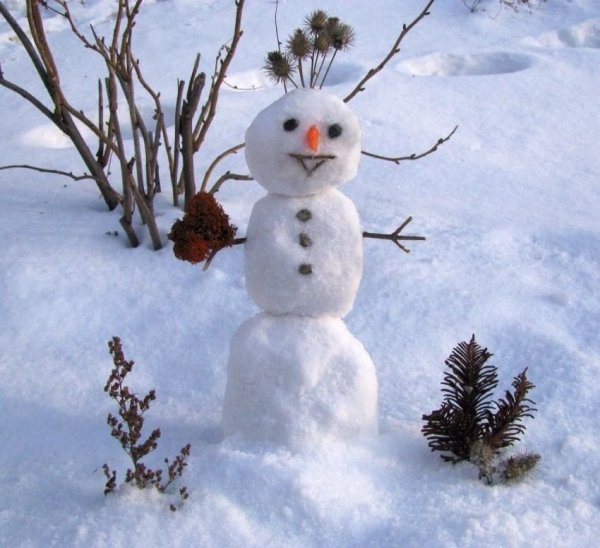 Снеговик слепленный
