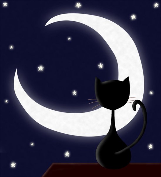 Черная кошка на фоне Луны